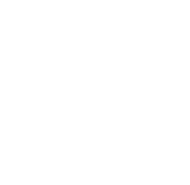 Smartvolt solutions white logo
